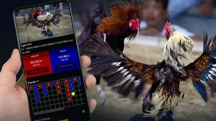 Bật Mí Kinh Hoàng Về Đá Gà Alo789 Mà Bạn Chưa Từng Biết 1 Bật Mí Kinh Hoàng Về Đá Gà Alo789 Mà Bạn Chưa Từng Biết